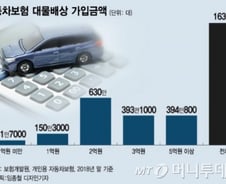 [단독]수리비 비싼 고가차량, 車보험료 올린다