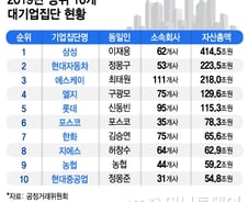 [MT리포트]이재용은 '총수 겸 부회장, 정의선은 '그냥 부회장'