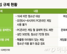 [MT리포트]'틈만 나면 규제'…'동네북' 게임업계 수난사