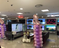 [MT리포트]올레드·QLED TV 누가 사나…신혼부부·3040 지갑 열어