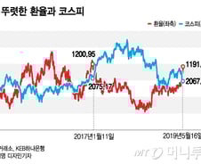 치솟는 환율…'弱 원화' 피난처를 찾아라