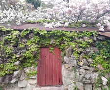 자기 것도 아닌 인생을 왜 이리도 바쁘게 살아야 하는 걸까