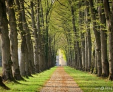 "내 인생은 내 책임"이라는 생각이 갖는 3가지 허점
