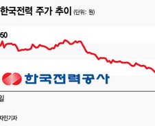 한국전력에 돌아온 투자자들 “고맙다, 유가 하락”