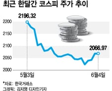 증시가 출렁일 땐 '배당주'…6월 중간배당 앞두고 관심