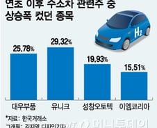 국내외 ‘수소 경제’ 관심…수소차 관련주 다시 뛴다