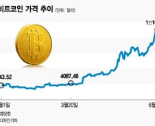 비트코인 1만불 넘었는데…오른 이유 모른다