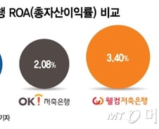 [단독]저축은행 목표이익률 "평균 ROA 2배 넘지마라"…금융당국 가격개입 논란