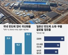 "日, 韓 급소 노렸다"…삼성 반도체 임원회의서 나온 장탄식