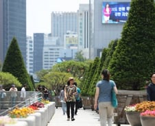 [우보세]천막에서 숲으로 바뀐 광화문광장, 이 기회에…