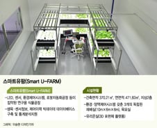 AI분석·3D카메라로 재배…화장품·항암채소까지 '기술농사'