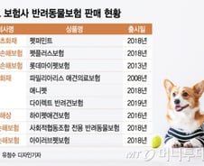 펫보험 전성시대…의료비 부담 줄었지만 '구멍' 여전