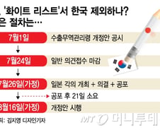 [단독]日보복 다음은 '파우치필름'..韓배터리산업 흔든다  