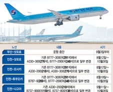 [단독]"대한항공도 日노선 구조조정"…중소형기로 교체