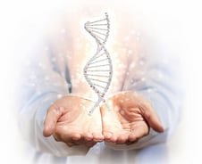 첨생법 앞두고 줄기세포주 '반짝' "추세상승은…"