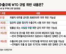 [백색국가 제외]文대통령 "日에 상응조치 "… WTO 제소 초읽기
