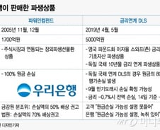 "원금  다 날릴판"..DLS 고강도 검사·다음달 분조위 연다
