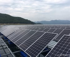 [르포]"생태계 파괴는 오해"…500조 시장으로 발전하는 태양광 인공섬