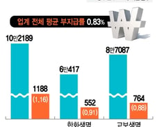 [단독]금감원, 삼성생명 손해사정 자회사 검사