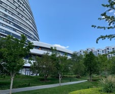 [광화문]비상하는 날렵한 공룡, 낯선 차이나