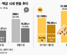 [MT리포트]금값 뛰니 은·백금도 함께 오른다 