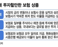 [MT리포트]"금리1%는 무시? 옛말"…초저금리에 '최저보증' 잡아라