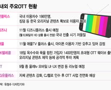 [MT리포트]"미디어 新패러다임 OTT시장 잡자" 글로벌 '쩐의 전쟁'