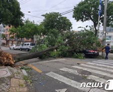 경복궁.덕수궁.종묘 등 태풍 '링링'영향 관람통제