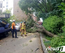 태풍 '링링' 강풍에 담 쓰러져 버스기사 사망