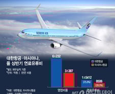 [MT리포트]사우디 '드론' 테러에 비상걸린 항공·화학업체