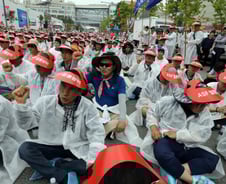 경기 파주서 국내 첫 아프리카돼지열병 발생 