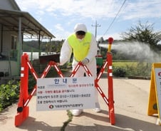 北이어 南도 아프리카돼지열병, 남북 방역협력 '초비상'