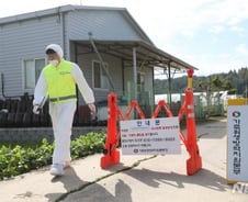 文 "아프리카돼지열병, 초기확산 안되게 철저히 차단을"