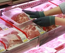 [MT리포트]아프리카돼지열병 바이러스 냉동해도 생존…먹어도 될까?