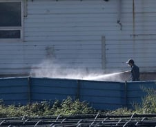 국내 첫 '아프리카돼지열병'…北유입 가능성?