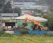 [MT리포트]'아프리카돼지열병' 햄·소시지는? "당장은 괜찮지만…" 