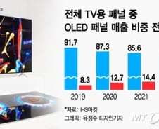 [MT리포트]"기술만이 살길" 脫LCD 가속화   