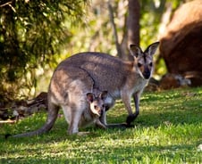 다 큰 자식 뒷바라지 하는 당신을 위한 5가지 조언