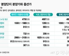 [MT리포트]분양가 통제하자 쓱 높아진 강남 아파트 옵션가