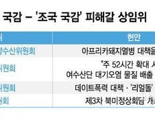 [MT리포트]'조국감' 피해간 상임위…증인 엮으려는 기류도