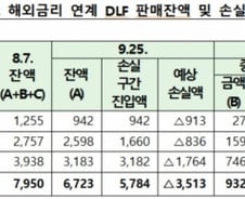 "원금 100% 손실" 내부 문제제기에도 DLF 팔았다