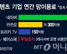 [MT리포트]국감 뜨거운 감자 된 '망 이용료' 구글은 '0원'