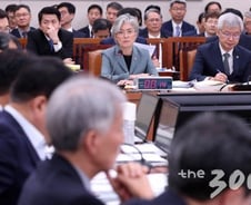 [국감현장]文대통령 일왕즉위식 참석?…강경화 "참석자 곧 결정"