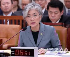 [국감현장]강경화 "싱가포르 4개축·안전보장, 동시·병행 추진해야"