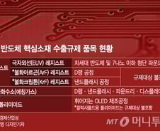 [日수출규제 100일]국산화 앞당긴 日보복..반·디업계 脫일본 가속화 