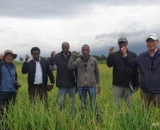 [르포]남도마늘·하우스딸기 '쑥쑥'…검은 대륙 살찌우는 '농업한류'