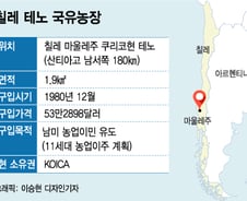 [단독]칠레에 방치된 한국땅 태양광발전소 짓는다