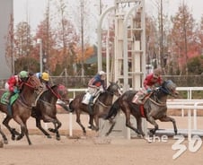 [단독]마사회, 경마전문지 불법판매 수수방관…4년간 제재 1건