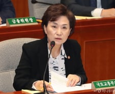 김현미 “상한제, 서울 집값 상승 주도지역 중 '동 단위' 지정”