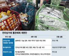 [단독]"해외 '역직구족' 키운다"…'온라인 플랫폼+오프라인 물류센터' 동시 설립